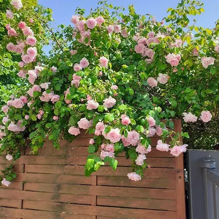 Ma Campagne - Le Jardin Szálloda Auberville