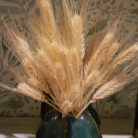 Ma Campagne - Le Jardin Szálloda Auberville