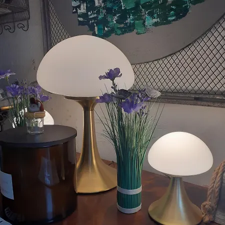 Ma Campagne - Le Jardin *