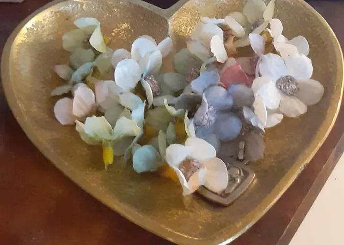 Ma Campagne - Le Jardin *