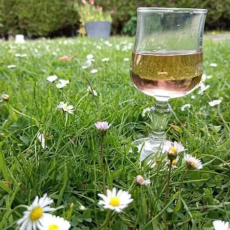 Hotel Ma Campagne - Le Jardin Auberville