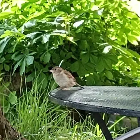 Hotel Ma Campagne - Le Jardin