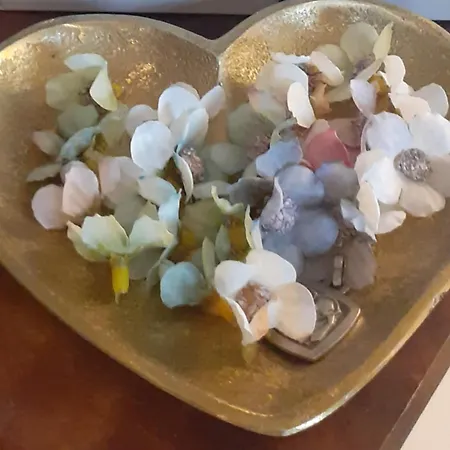 Ma Campagne - Le Jardin *