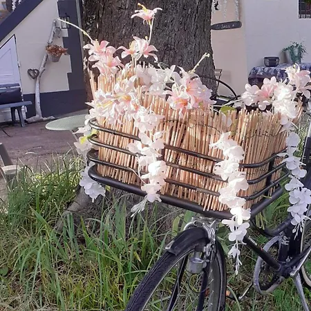 Hotel Ma Campagne - Le Jardin *