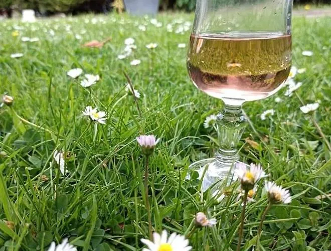 Hotel Ma Campagne - Le Jardin Auberville