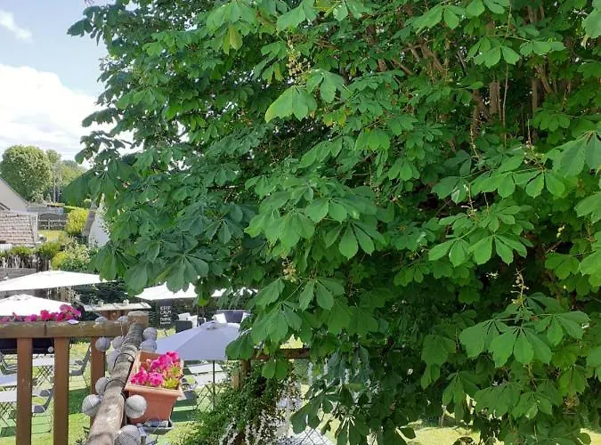 Ma Campagne - Le Jardin Hotel