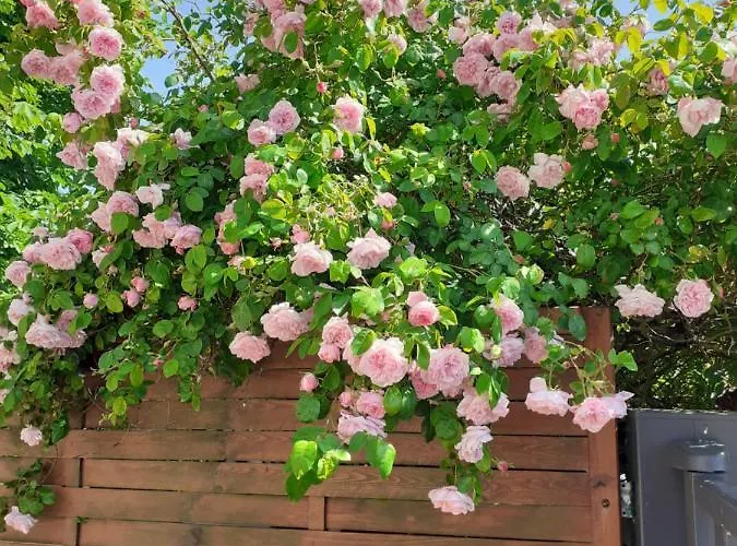 Ma Campagne - Le Jardin Hotel Auberville