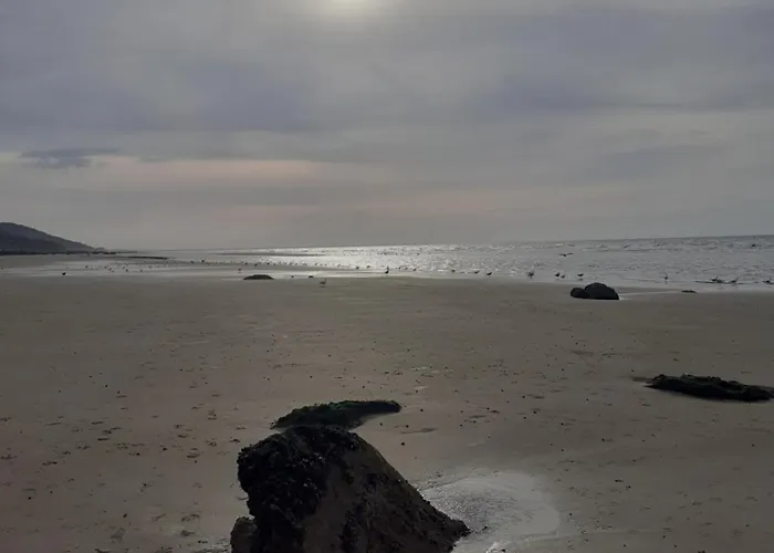 Ma Campagne - Le Jardin * Auberville