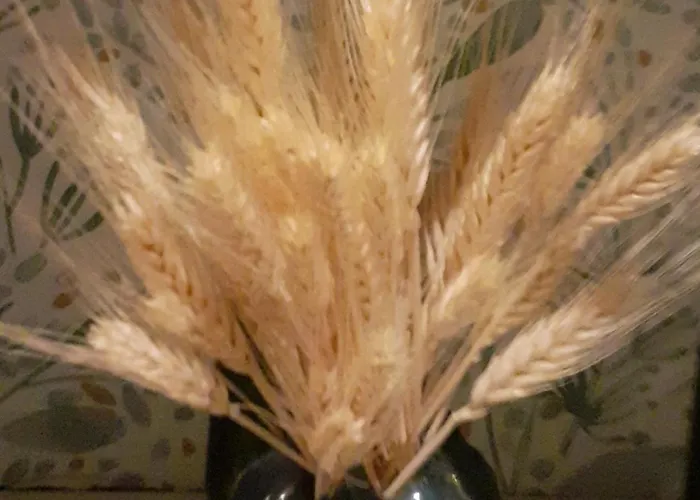 Ma Campagne - Le Jardin Hotel Auberville