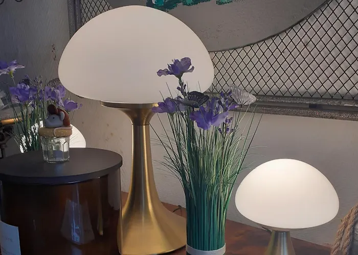 Ma Campagne - Le Jardin *